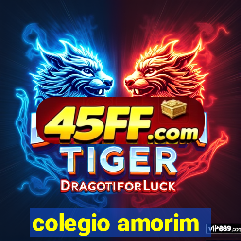 colegio amorim